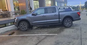 New Ford F-150 2023 Gray