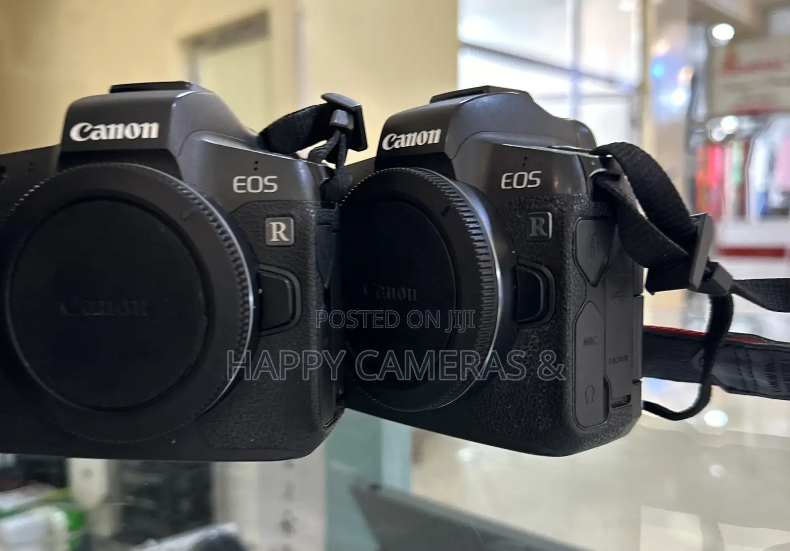 Canon R + Battery Grip