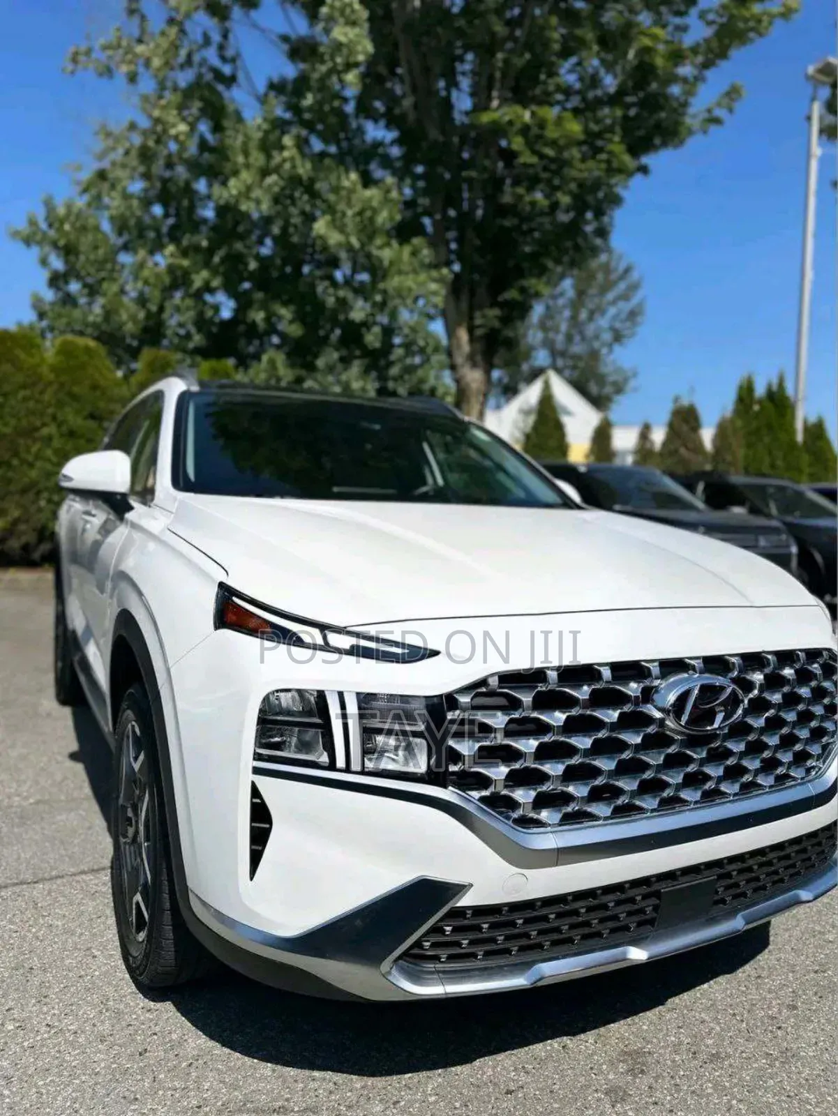 New Hyundai Santa Fe 2023 White