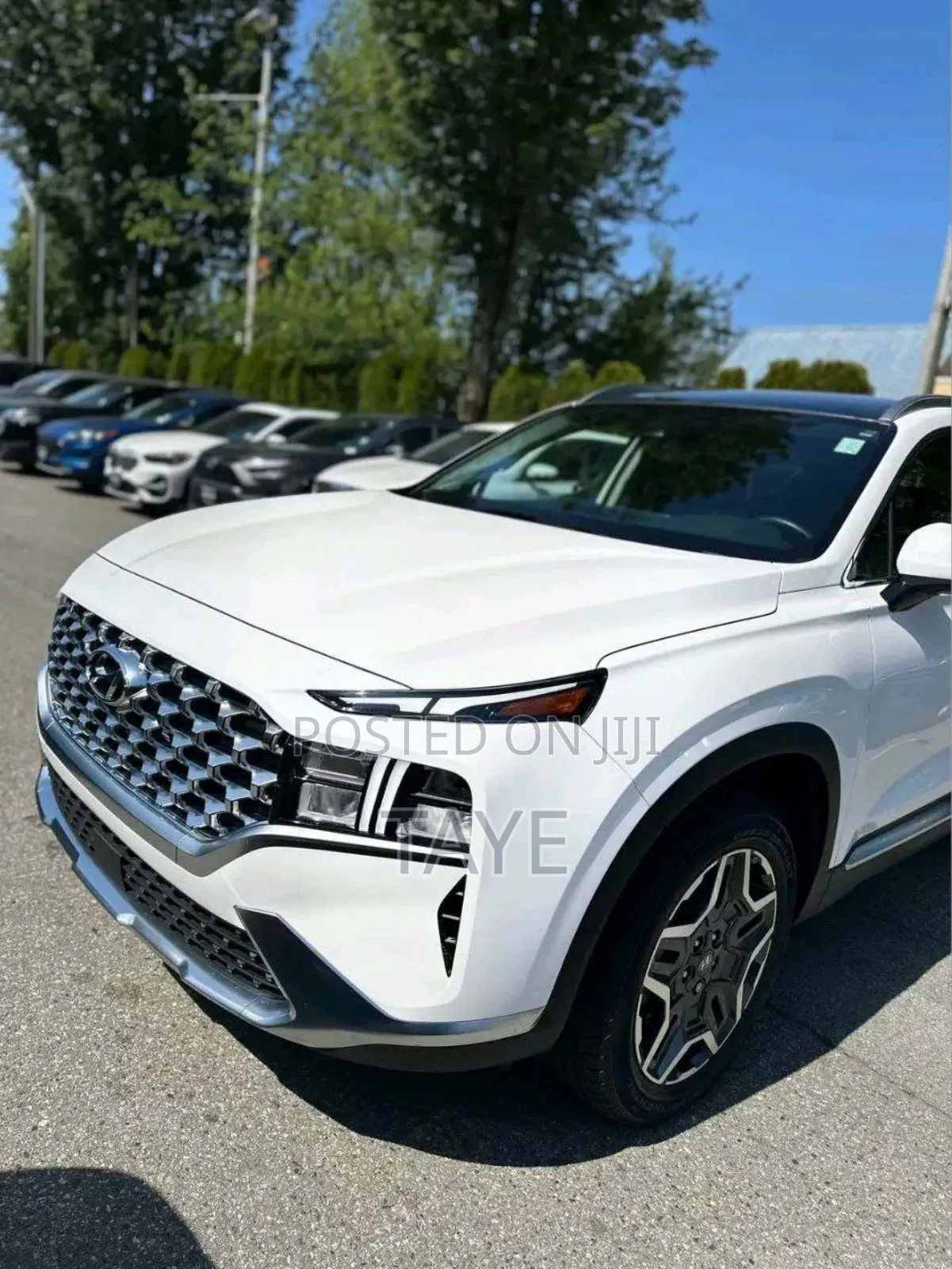 New Hyundai Santa Fe 2023 White