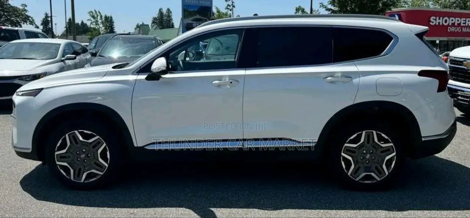 New Hyundai Santa Fe 2024 White