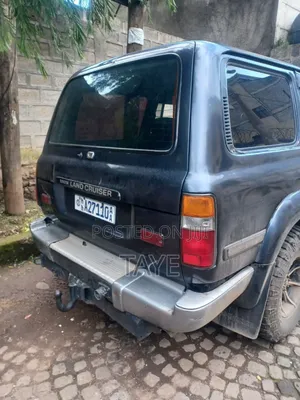 Toyota Land Cruiser 1993 Blue