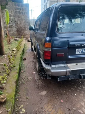 Toyota Land Cruiser 1993 Blue