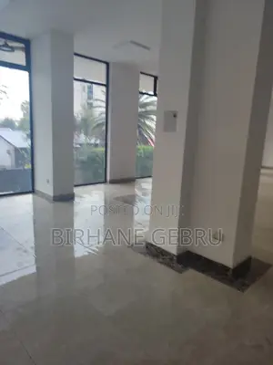 Luxury Apartiment Grond Rent for Business