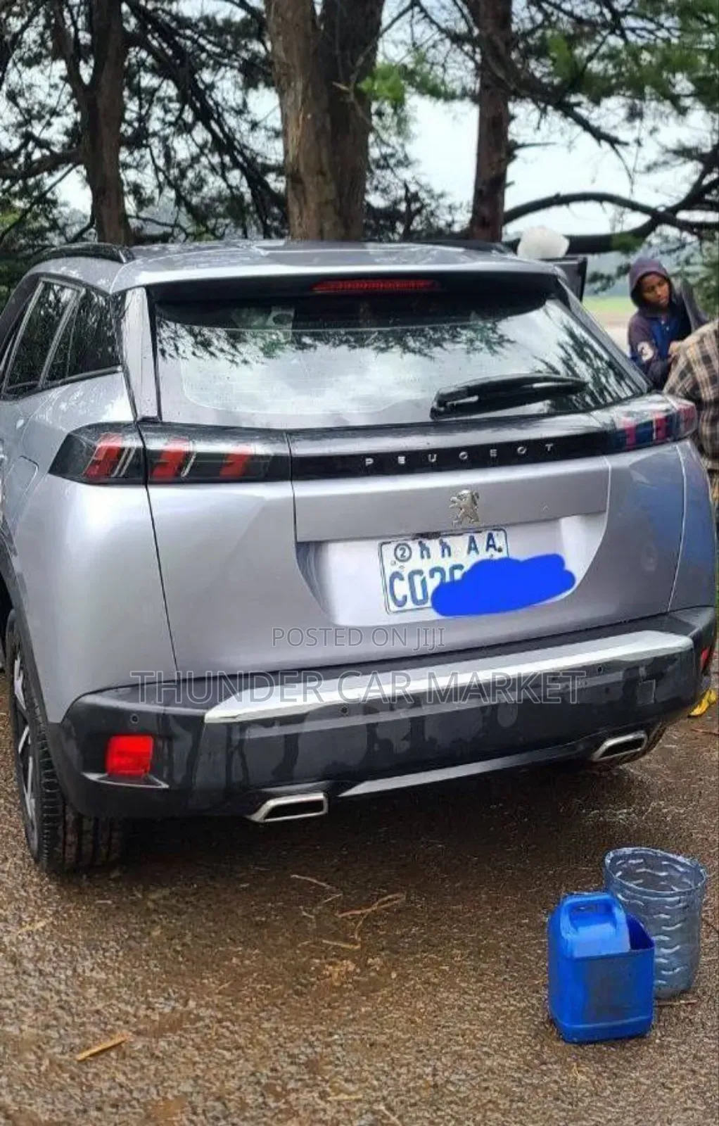 Peugeot 2008 2021 Silver