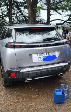Peugeot 2008 2021 Silver