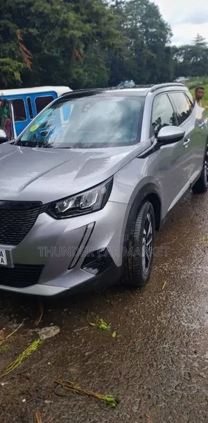 Peugeot 2008 2021 Silver