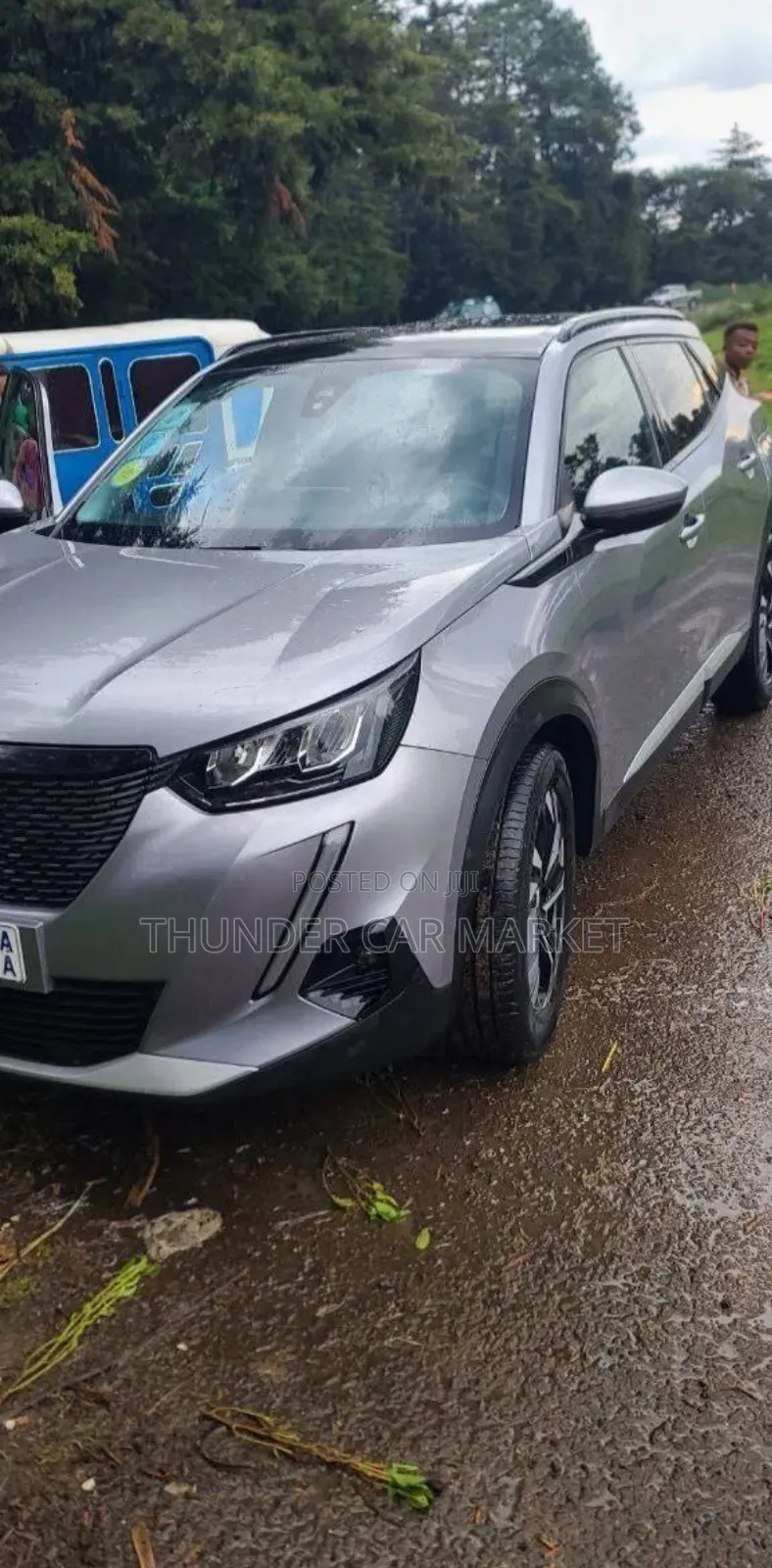 Peugeot 2008 2021 Silver