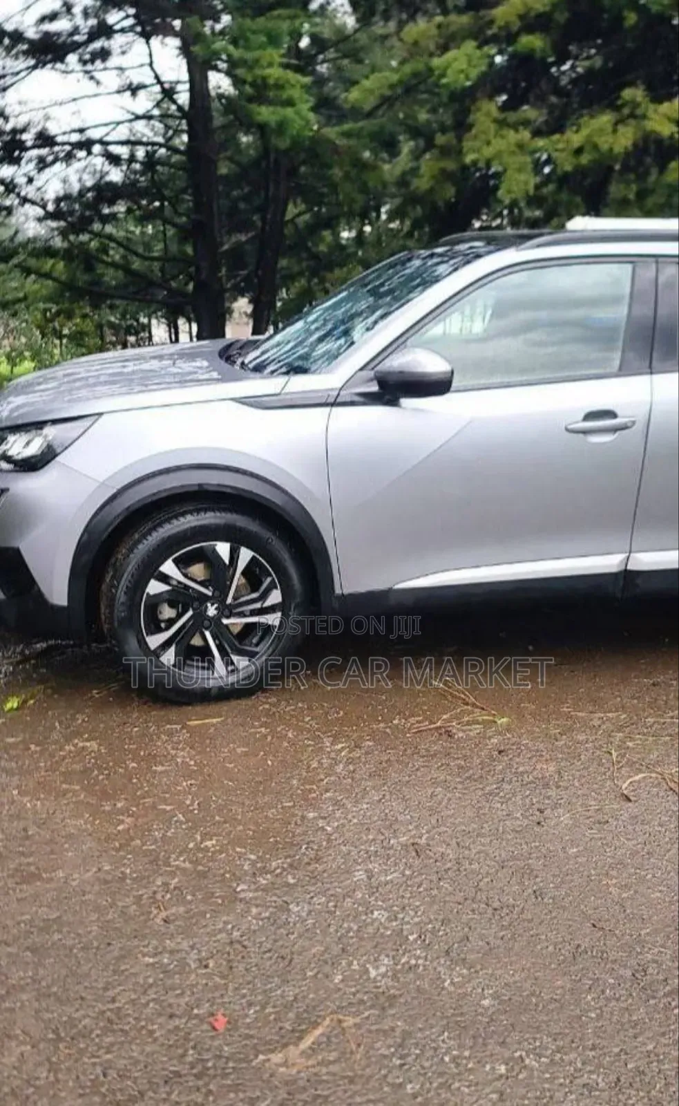 Peugeot 2008 2021 Silver