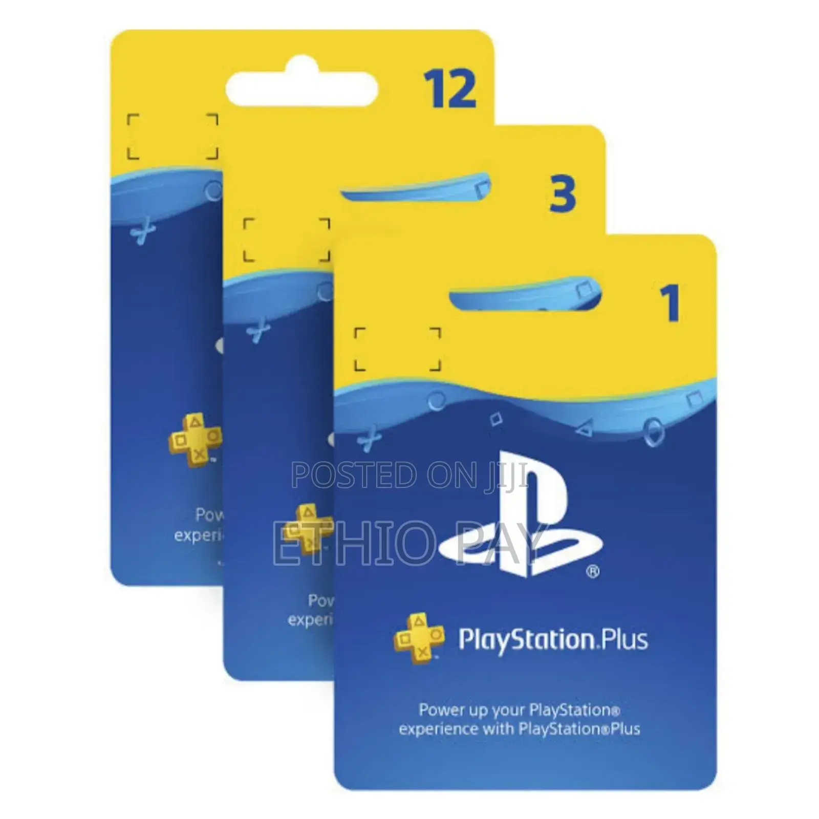 Playstation Plus Premium Accounts