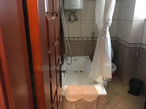 Furnished 1bdrm Apartment in Bole for rent