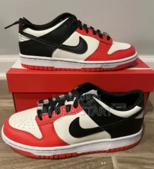 Nike Dunk Master Qulity Shies for You