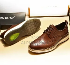 Cows Master Quality Shies for You