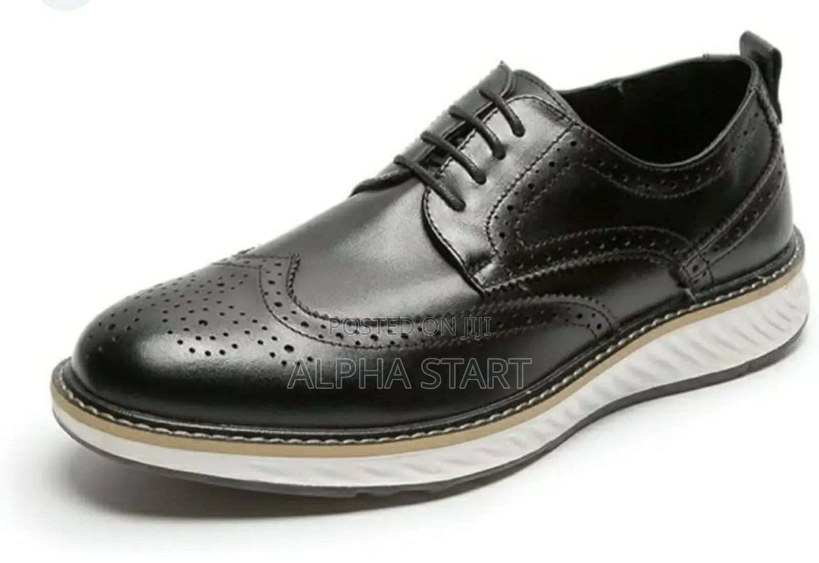 Cows Master Quality Shies for You