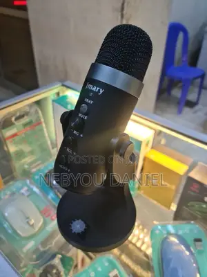 PW8 Condonser Computer Microphone