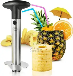Pineapple Corer-Slicer
