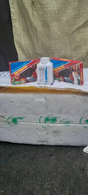 Photo - Semos / Big Powerful