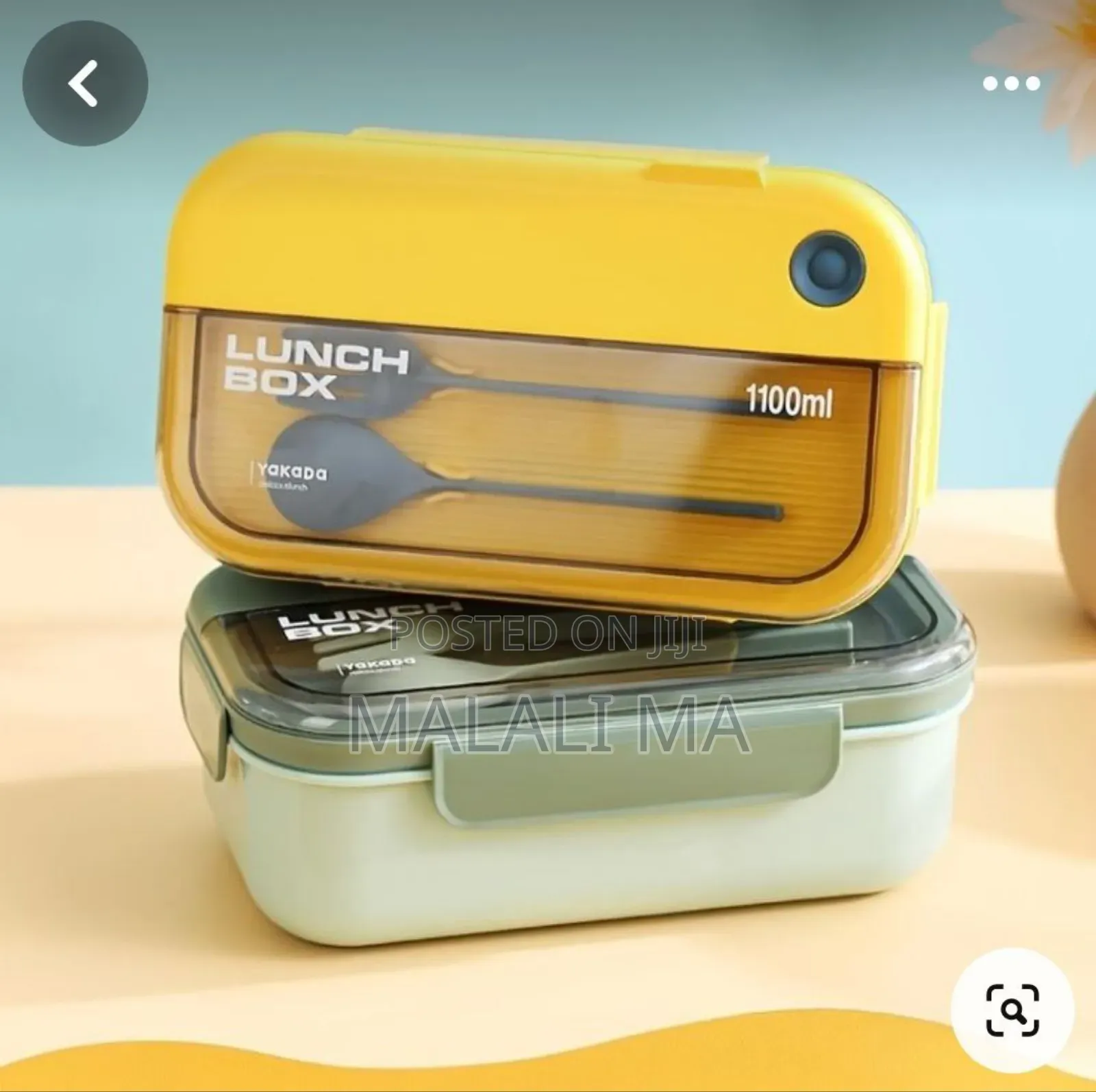 Plastic Lunchbox