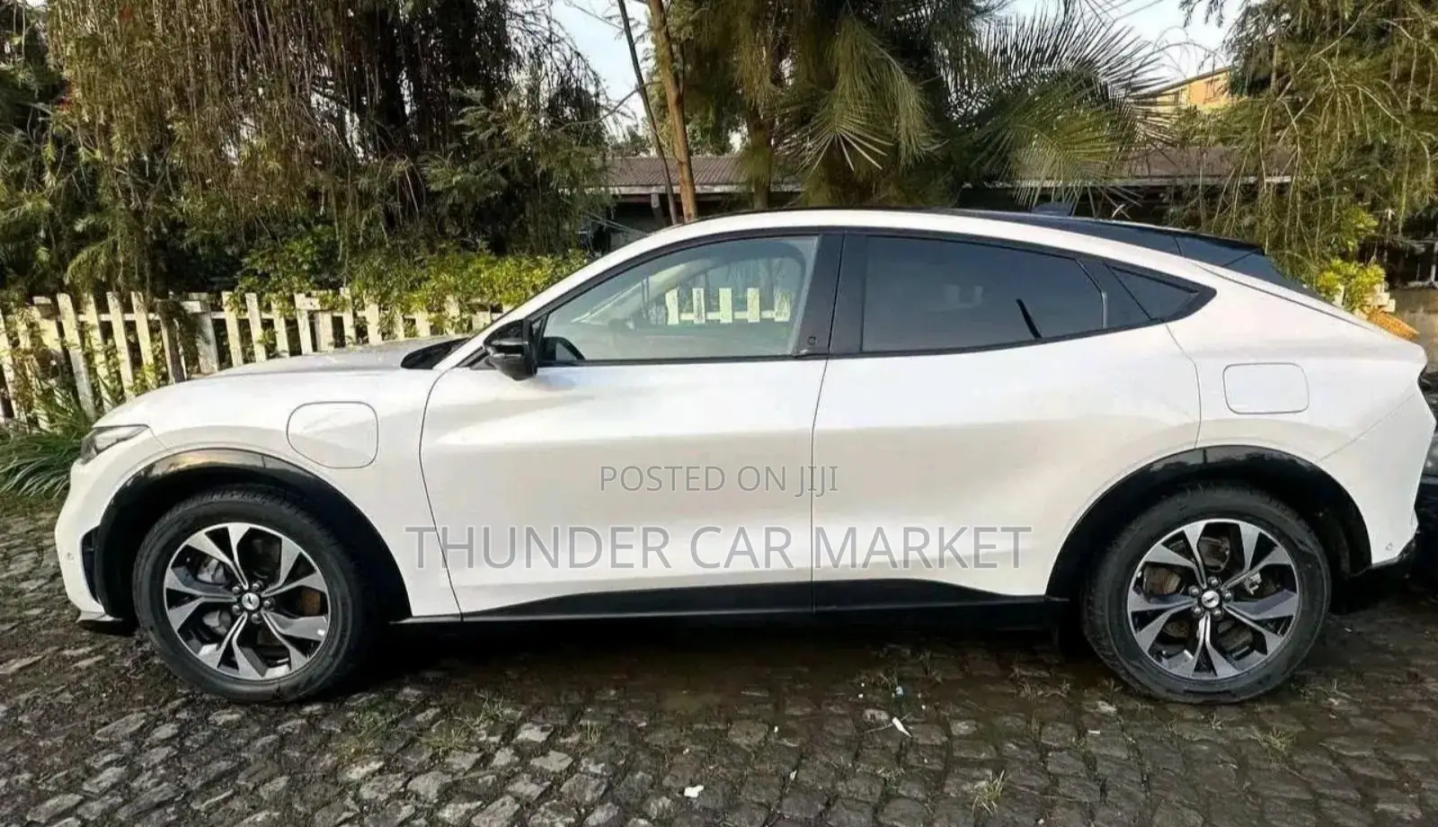 Ford Mustang 2023 White