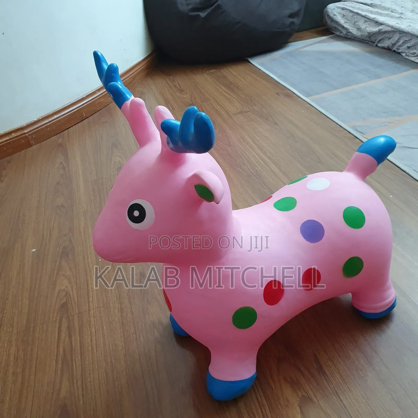 Plastic Horse