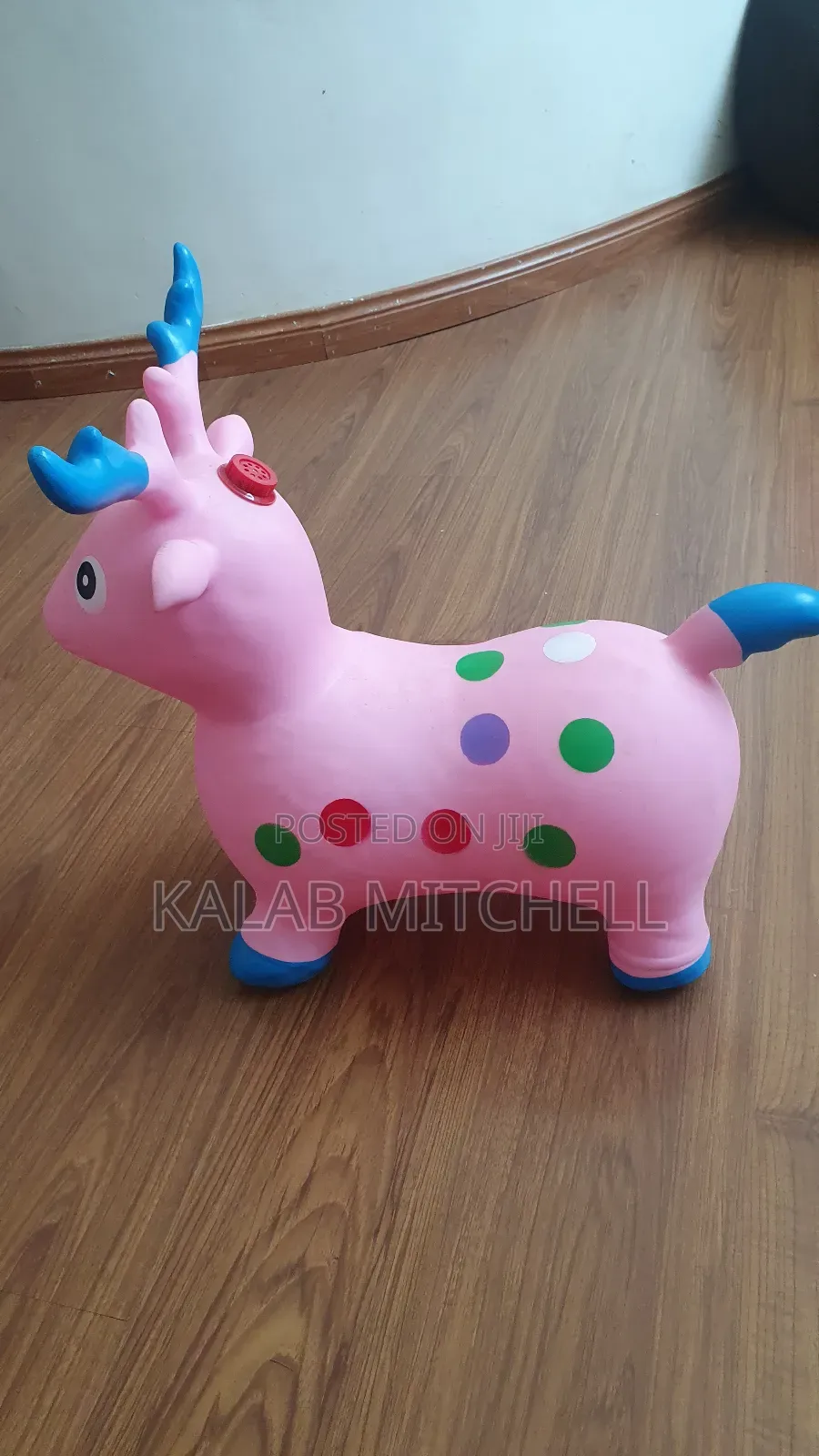 Plastic Horse