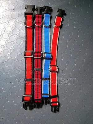 Heavy Duty Which Makes U Fill Good Controls of Your Dog And