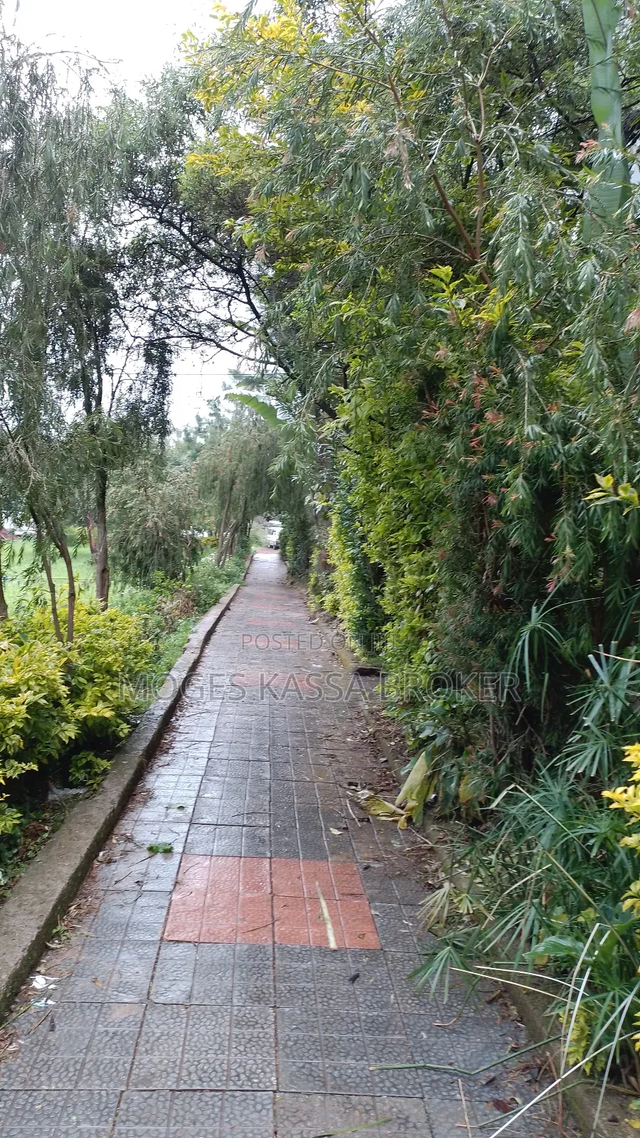 Furnished 1bdrm Condo in ሰሚት ኮንዶሚኒየም የሚሸጥ 1ኛ, Yeka for sale