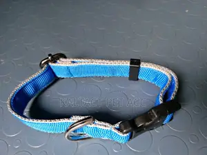 Heavy Duty Which Makes U Fill Good Controls of Your Dog And