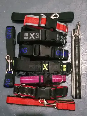 Dog Collars