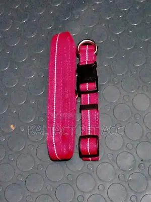 Pinky Leash and Collar for Small Doges and Cates