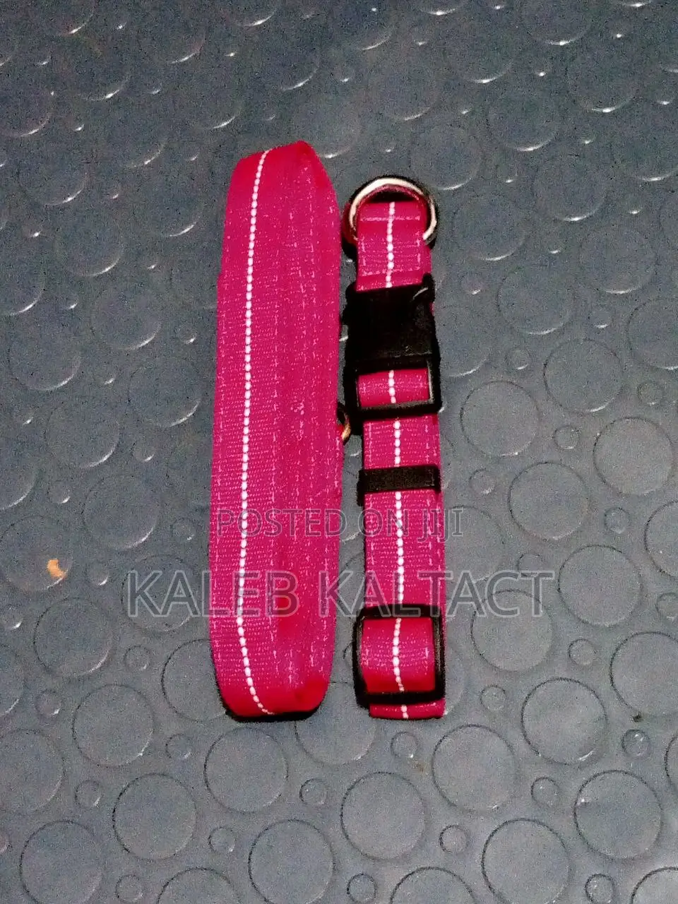 Pinky Leash and Collar for Small Doges and Cates
