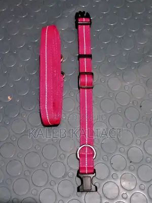 Pinky Leash and Collar for Small Doges and Cates