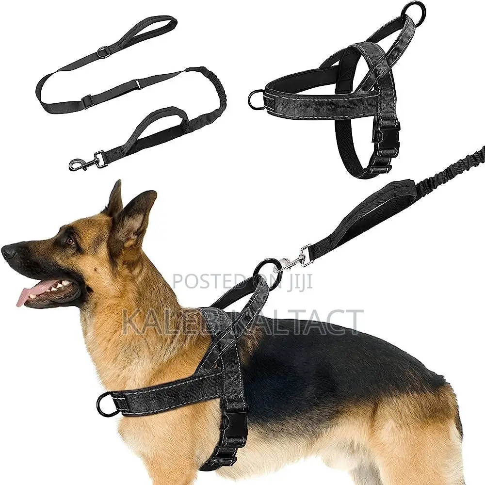 Chest Strap Dog Harness