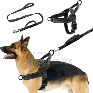 Chest Strap Dog Harness