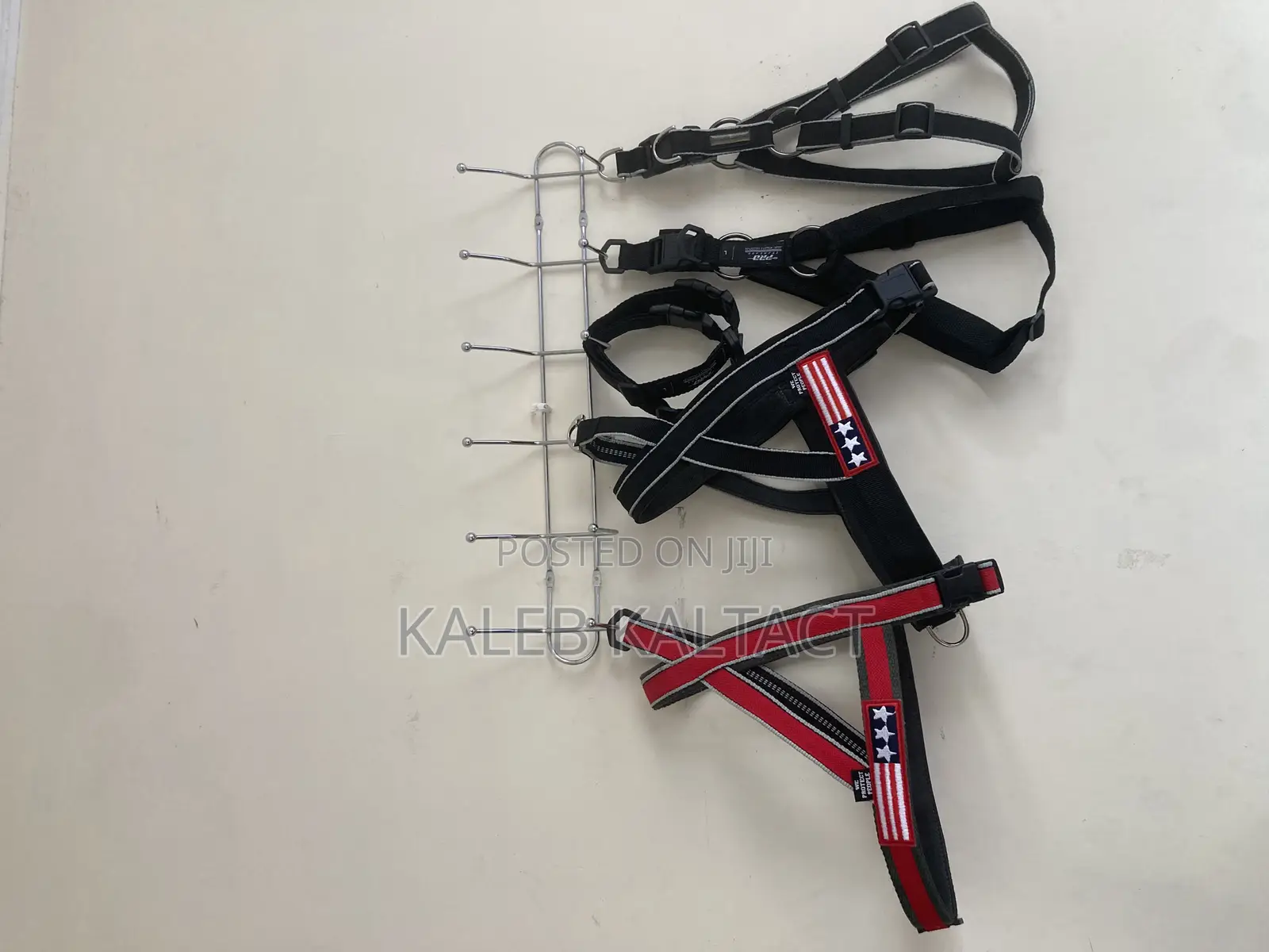 Chest Strap Dog Harness