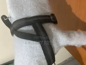 Chest Strap Dog Harness