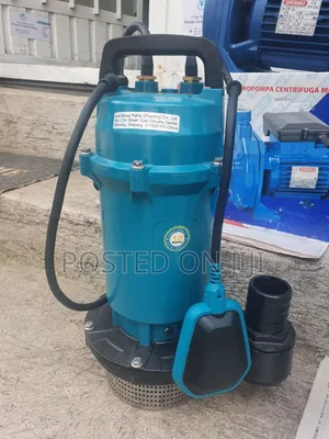 Photo - 1hp Dewatering Pump