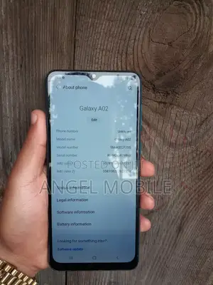 Samsung Galaxy A02 64 GB Blue