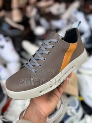 Ecco Master Quality Shoes for You