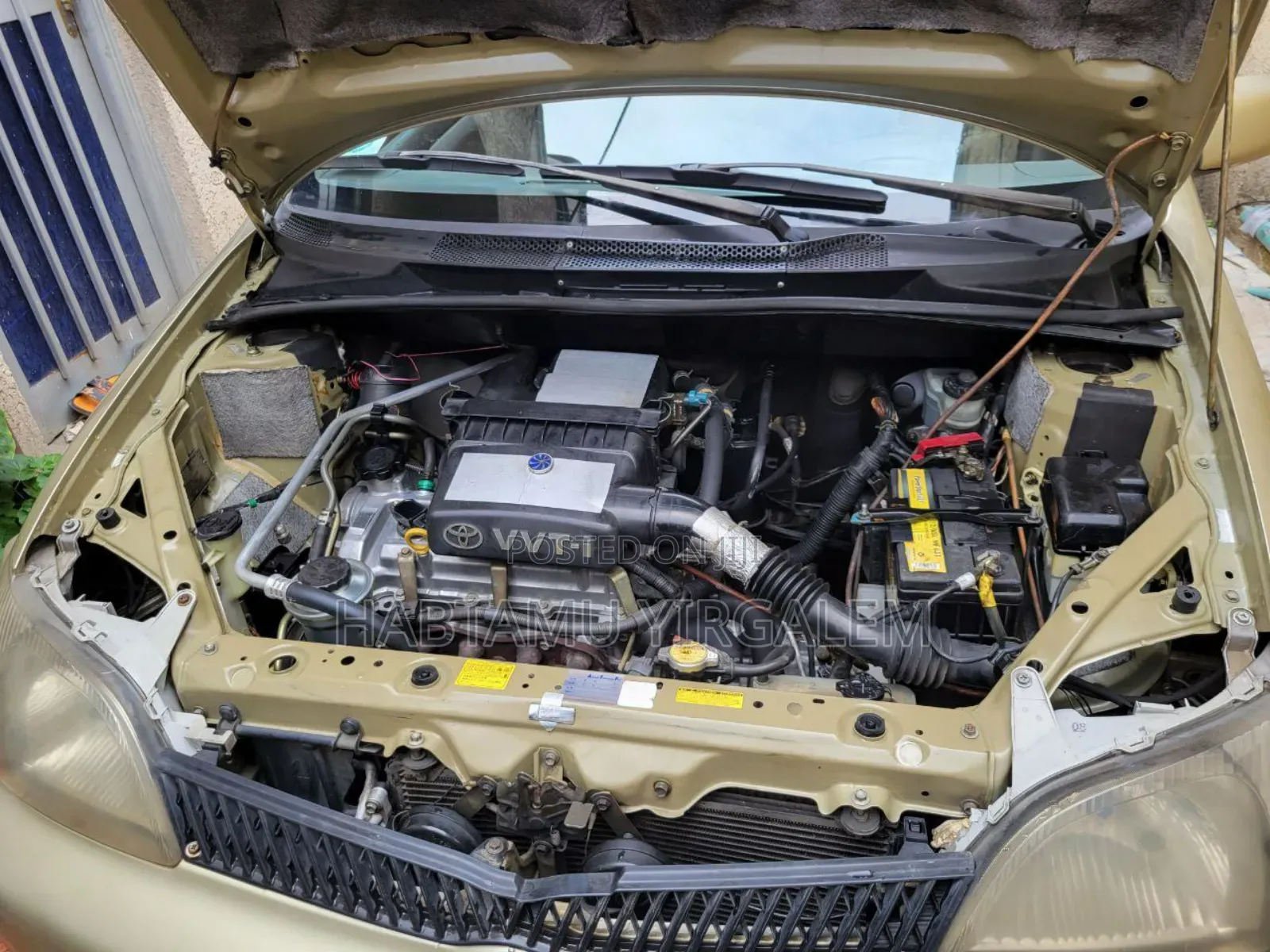 Toyota Yaris 2013 Ivory