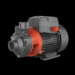 Leo 1hp Water Pumps