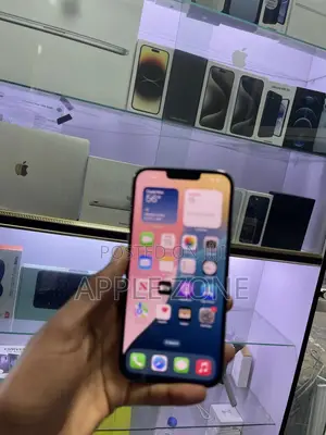 New Apple iPhone 13 Pro Max 256 GB Blue