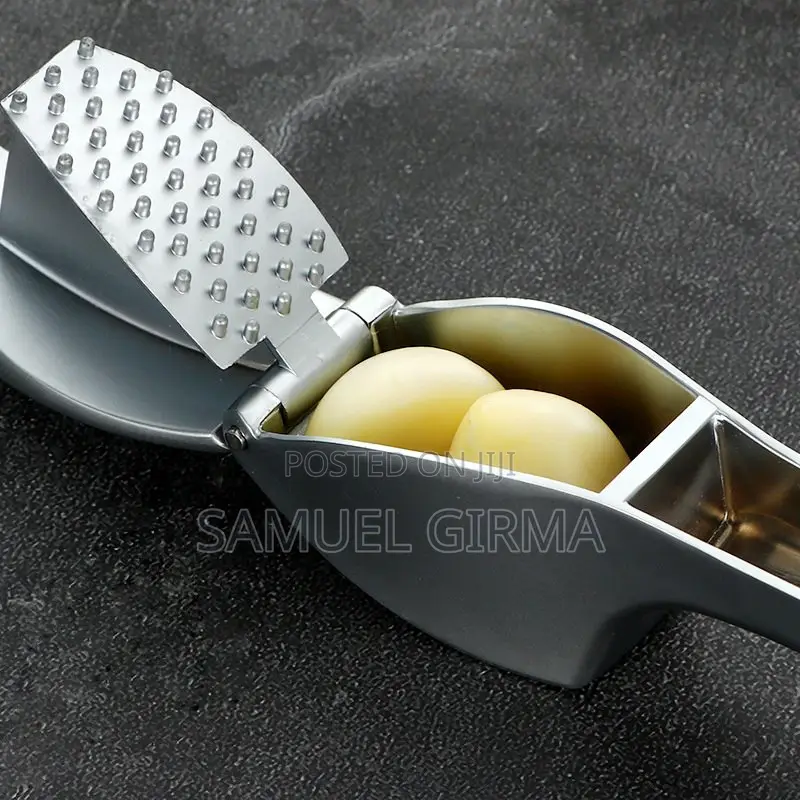 Manual Garlic Press Crusher