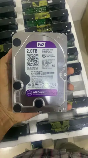 2 Tera Purpule Hard Disk