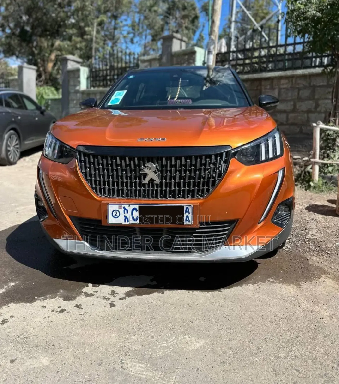 Peugeot 2008 2021 Orange