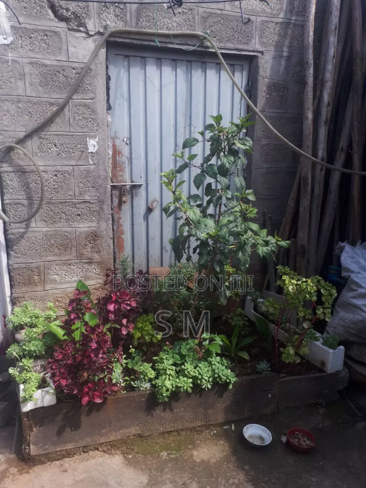 አስቸኳይ መጋዘን ሽያጭ