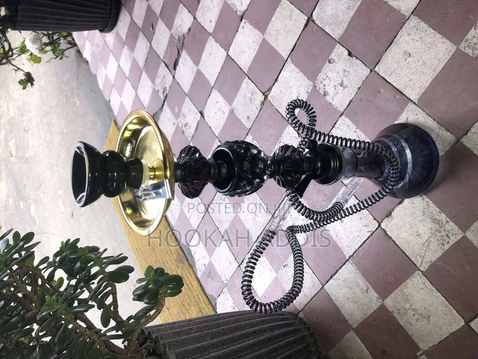 Shisha Eka(Hookah)