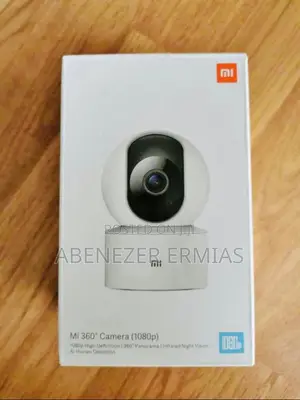 MI Security Cameras