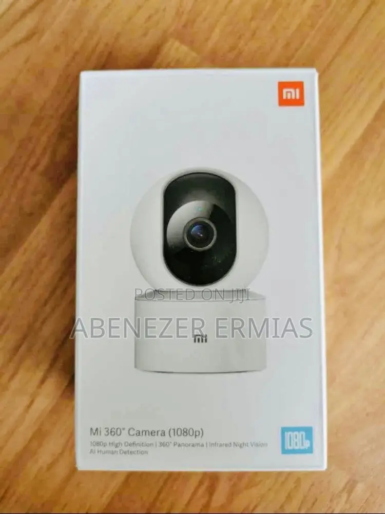 MI Security Cameras