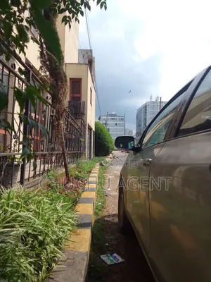 Construction Land Sale Bole